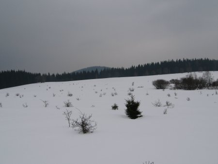 012-IMG_7494.JPG.medium.jpeg