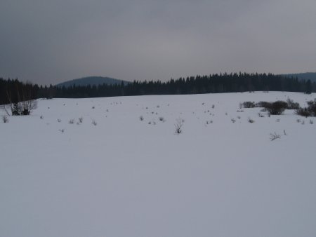 013-IMG_7495.JPG.medium.jpeg