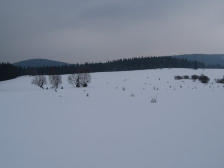 014-IMG_7496.JPG.medium.jpeg