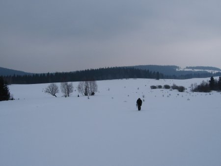015-IMG_7497.JPG.medium.jpeg