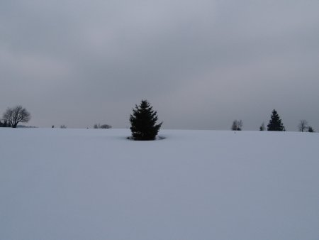 017-IMG_7499.JPG.medium.jpeg