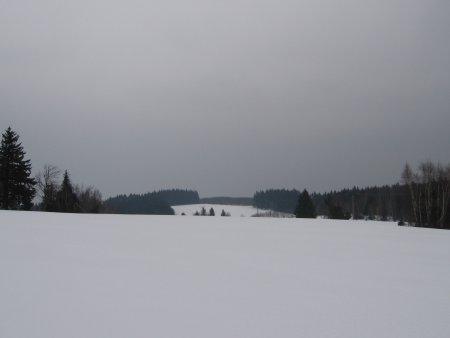 020-IMG_7502.JPG.medium.jpeg