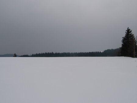021-IMG_7503.JPG.medium.jpeg