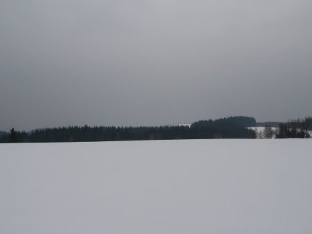 022-IMG_7504.JPG.medium.jpeg