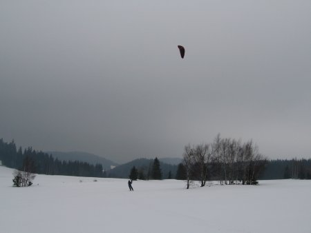 025-IMG_7523.JPG.medium.jpeg