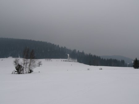 026-IMG_7524.JPG.medium.jpeg