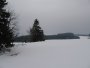 036-STD_7508.JPG.small.jpeg
