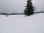 039-STE_7517.JPG.small.jpeg