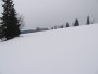 041-STF_7518.JPG.small.jpeg