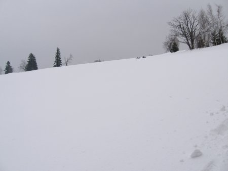 043-STG_7519.JPG.medium.jpeg