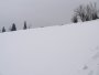 043-STG_7519.JPG.small.jpeg