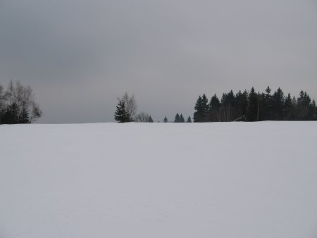 044-STH_7512.JPG.medium.jpeg