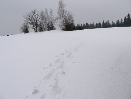 045-STH_7520.JPG.medium.jpeg