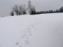 045-STH_7520.JPG.small.jpeg